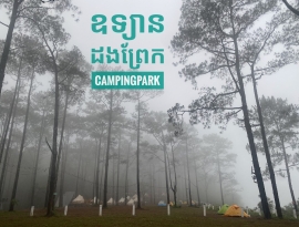 ឧទ្យានបោះតង់ - CampingPark